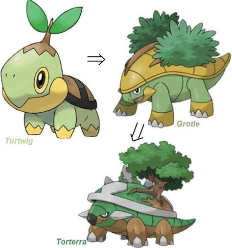 turtwig evolution line.